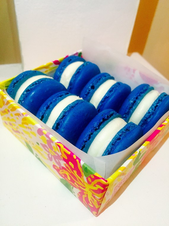 Blue velvet Macaron 2