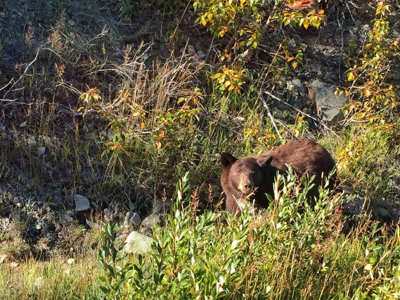 Processed with Snapseed.